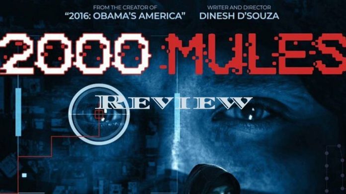 Dinesh-DSouza-Documentary-Film-2000-Mules-Review-696x391