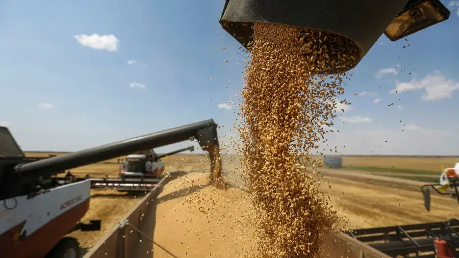 Global Grain Reserves "Extremely Low," Will Be Depleted For Years ...